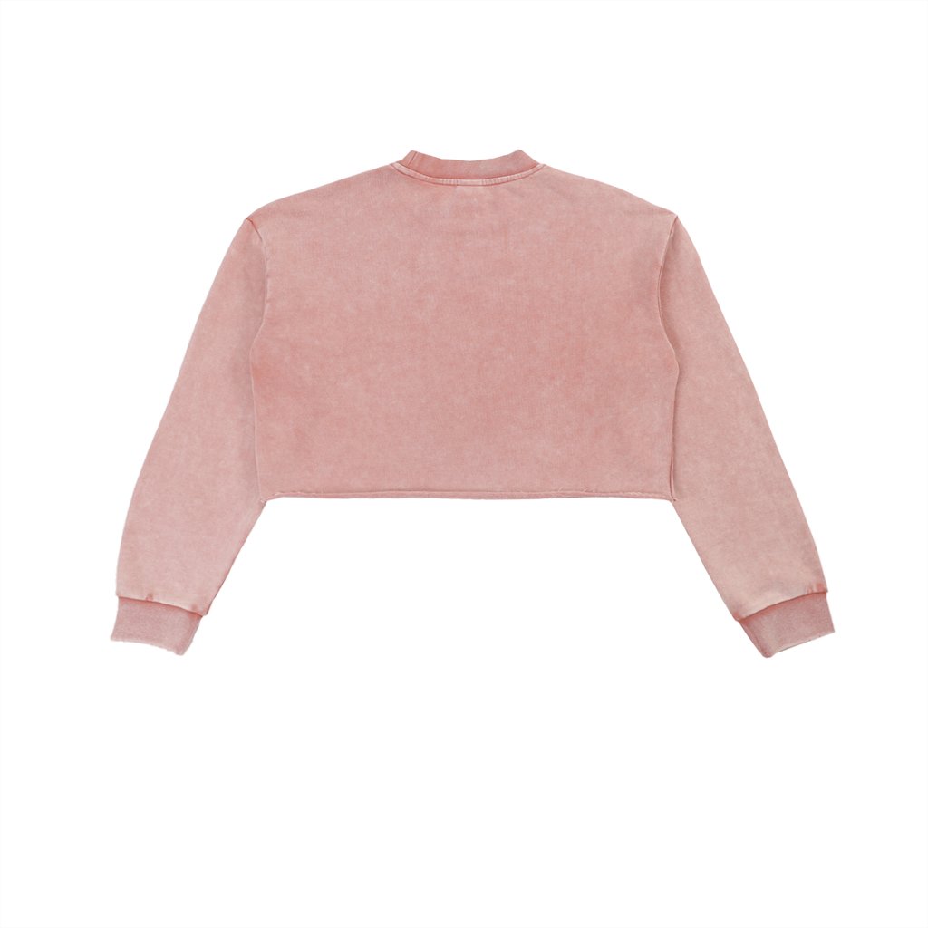 Got The Key Snow Washed Raw Edge Cropped Sweatshirt